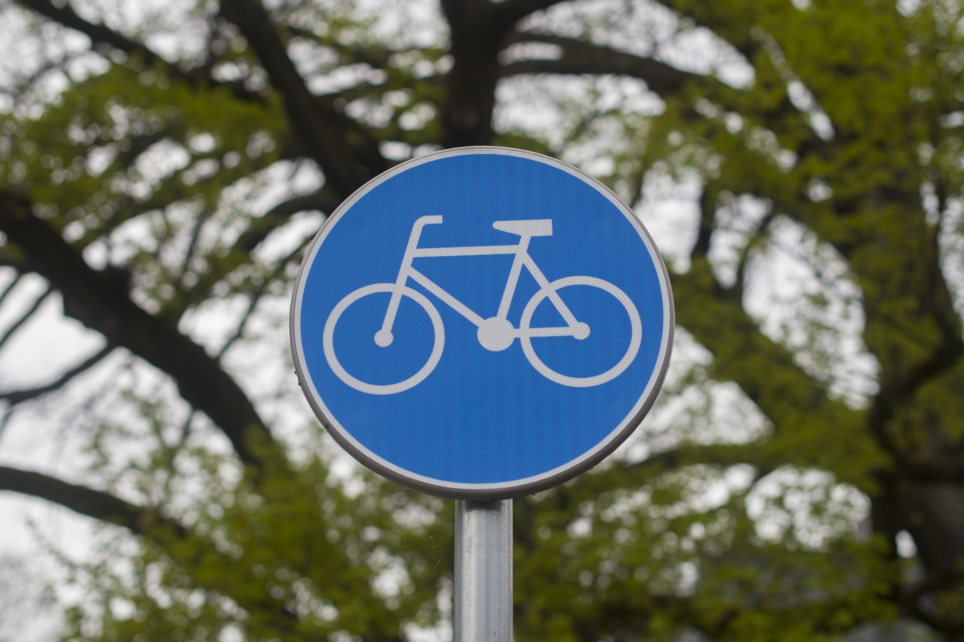 Blaues Verkehrsschild für einen Fahrradweg in Berlin